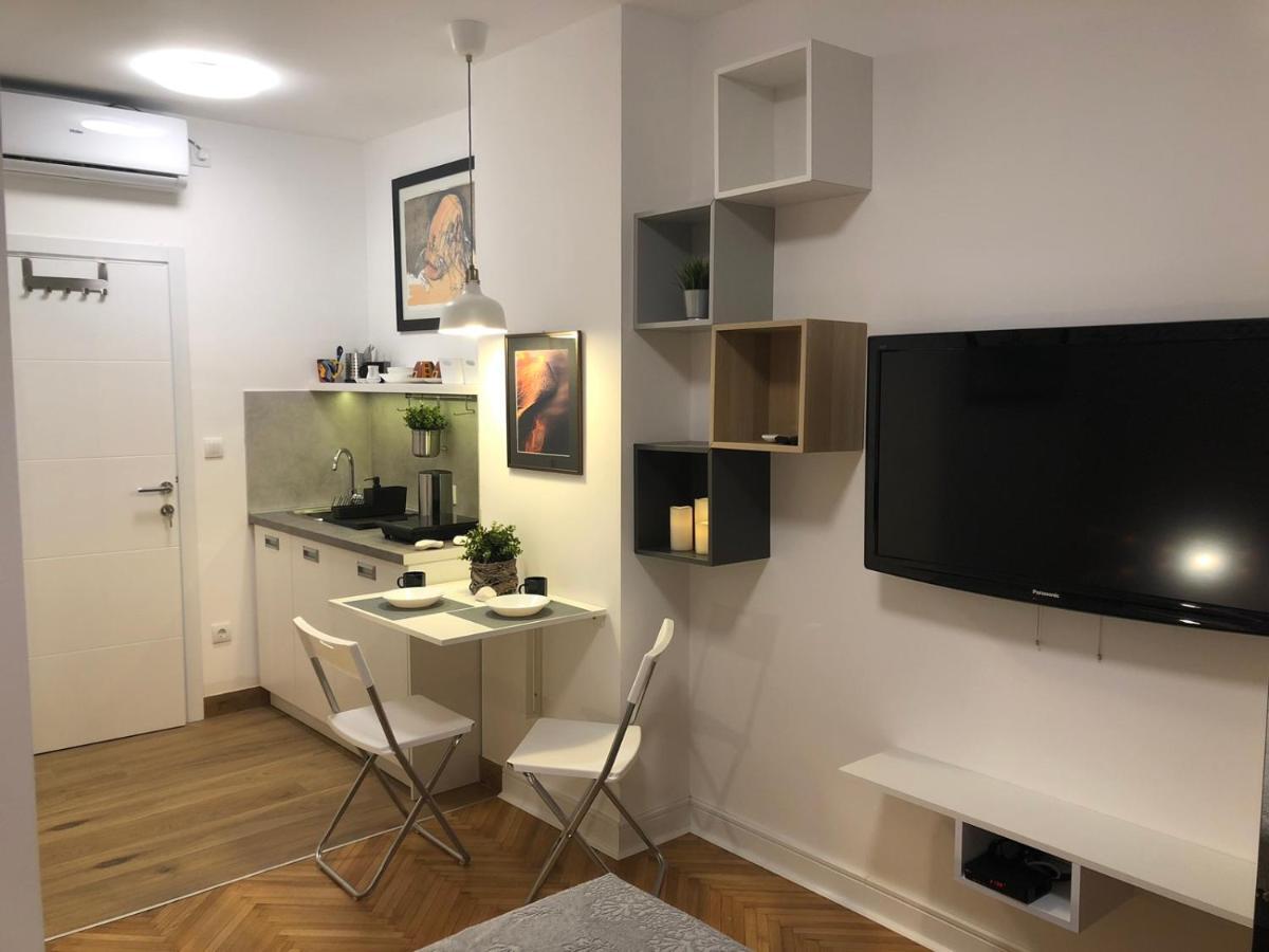 Vracar Apartment Belgrado Exterior foto