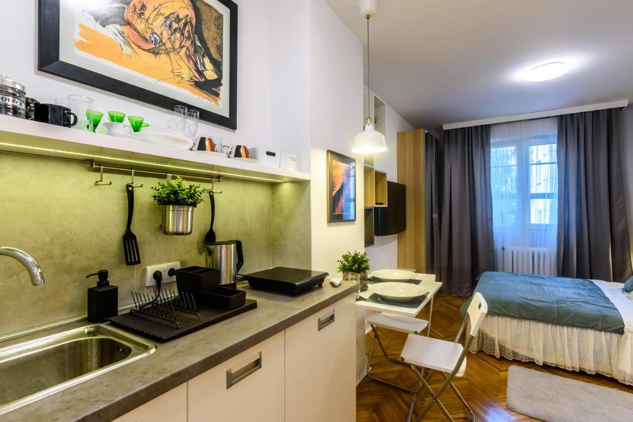 Vracar Apartment Belgrado Exterior foto